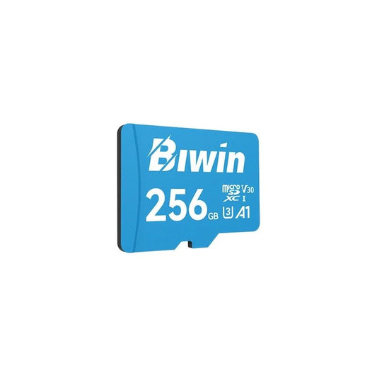 Biwin MS100 microSDXC UHS-1 256GB C10 U3 V30 A1